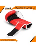 CLASIC BOXING GLOVES