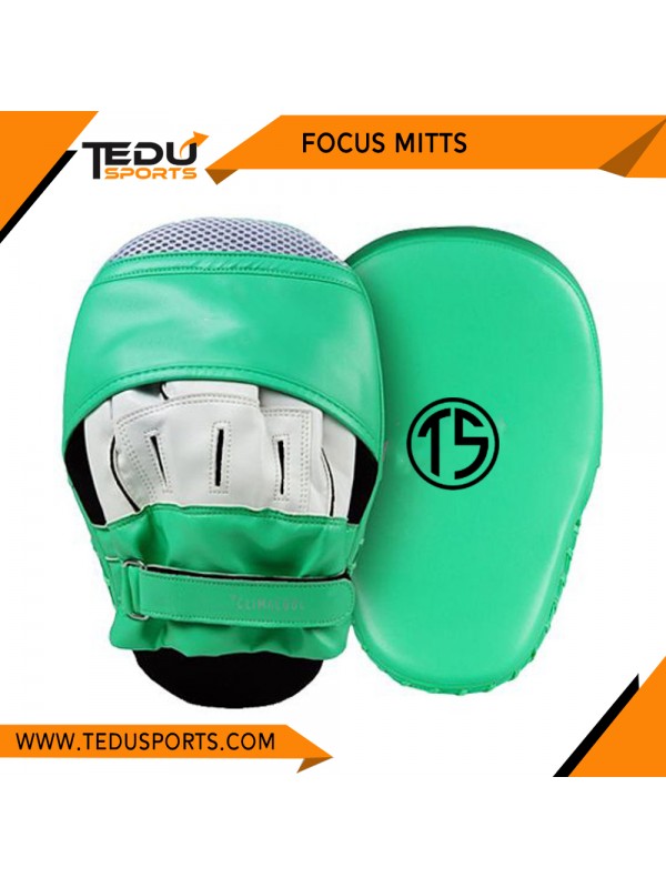 Focus Mitts